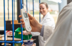 testo 104-IR BT – App Bağlantılı İnfrared ve Batırma Tip Termometre