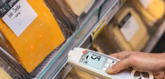 testo 104-IR – İnfrared ve Batırma Tipi Gıda Termometresi